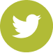 Twitter Icon